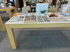 -Eziwish眼镜·蔡司授权店