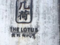 -几荷·恰似故人来(秀水广场店)