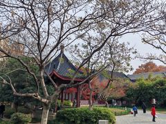-堤角公园