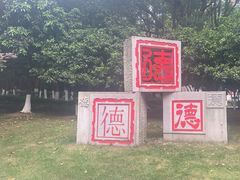 -桐乡植物园