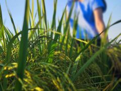 -煲煲掂风味煲仔饭餐厅(西区店)