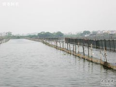 -小陆莲花蟹园农家乐(莲花岛店)