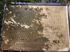 -焦山景区-万佛塔