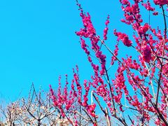 -雨花胜境