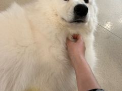 -共舞时光猫咖·狗咖(新街口店)