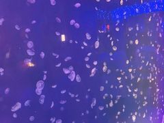-昆明动物博物馆