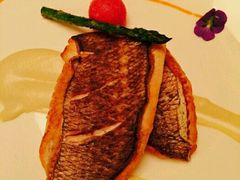 -Oyster Talks 四度蚝法餐厅