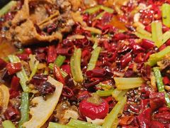 -老板恋上鱼(印象城店)