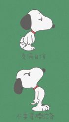 -AP•澳派设计•烫发•染发•漂发