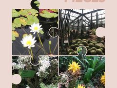 -华南国家植物园-售票处