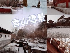-香山公园