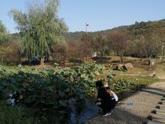 -石塘人家