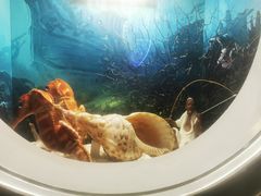 -海合安青岛极地海洋公园