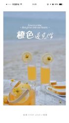 -金夫人婚纱摄影(惠阳店)