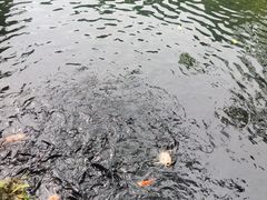 -海口火山口国家地质公园