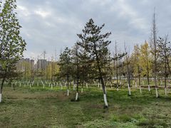 -汉长安城未央宫国家考古遗址公园