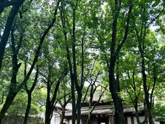 -宁波市保国寺古建筑博物馆