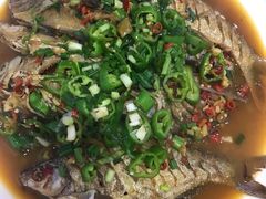 -全乐鱼馆·淳牌有机鱼直营店