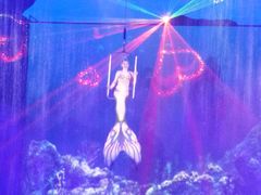 -芜湖新华联大白鲸海洋公园