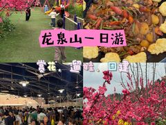 -桃源山庄·水蜜桃采摘·柴火鸡·烧烤团建(龙泉山店)