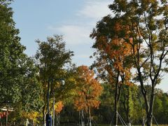 -昆山城市生态森林公园