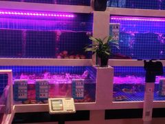 水产区-喜粤广东菜(汉屯路店)