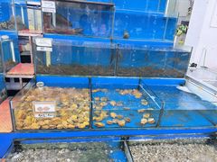 -秋姐美食店(旅游大道店)