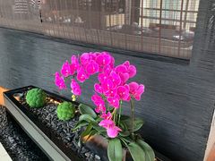 -广州富力君悦大酒店·凯菲厅