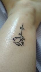 -明星刺青·洗纹身