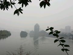 -眉山湿地公园(东坡区)