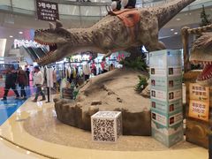 -成都浩海立方海洋公园