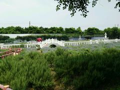 -广州花之恋城堡酒店