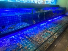 -透明思烤·自助烤肉海鲜火锅(东部星悦天地店)