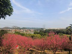 -水濂山森林公园