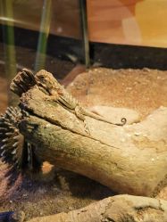 -酷嗒动物文化乐园(cutezoo西溪乐天城店)