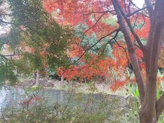 -昆山城市生态森林公园