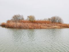 -太湖湖滨国家湿地公园-停车场