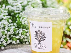 -LESCEDARS Brasserie Bistro香柏树