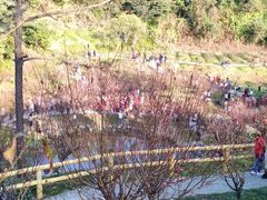 -白水带风景区体育公园