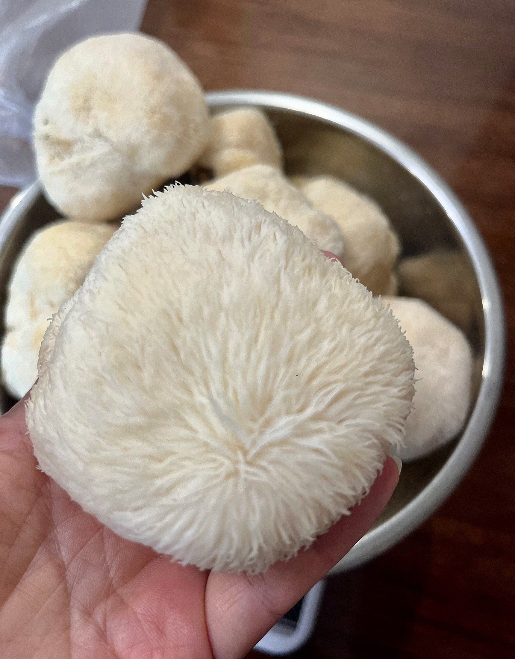 猴头菇知道怎么吃吗?