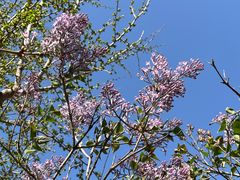 -鹫峰国家森林公园