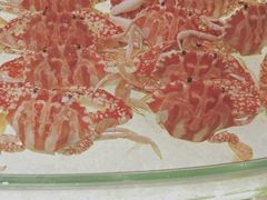 -好日子皇冠假日酒店·君怡咖啡厅(特美思大厦店)