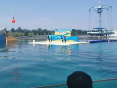 -秦皇岛乐岛海洋王国