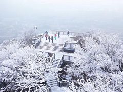-紫金山山顶公园
