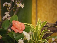 -大连富丽华大酒店