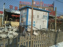 -鱼窝棚柴火铁锅炖(富山屯店)