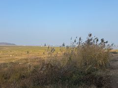 -鄱阳湖国家湿地公园