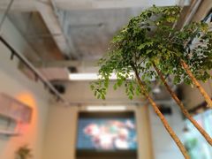 -Blac+Blac(中海环宇荟店)