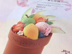 -哈根达斯(青岛海信店)