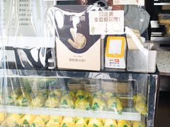 -猫的魔法密林(衣裳街店)